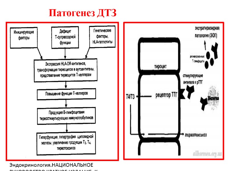 Патогенез ДТЗ Эндокринология.НАЦИОНАЛЬНОЕ РУКОВОДСТВО КРАТКОЕ ИЗДАНИЕ. Краткое издание/ под.ред акад. РАН и РАМН И.И.